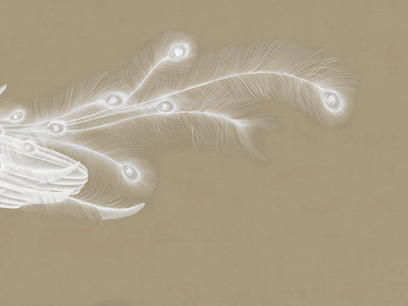 月·天上秋期近