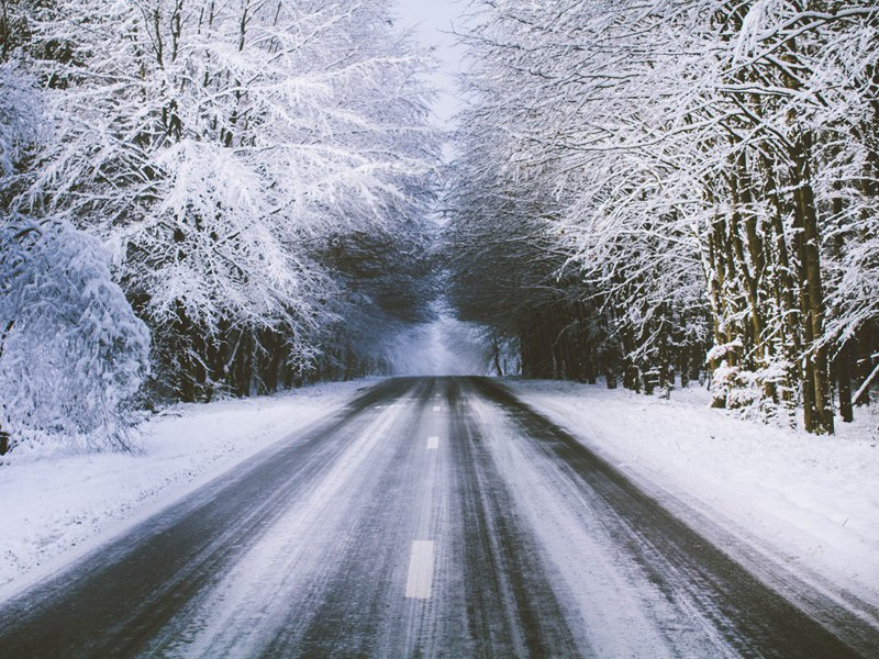 奉寄河南韦尹丈人