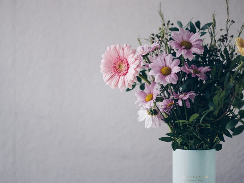 “李杜文章在，光焰万丈长”-杜甫在“应诏”前后