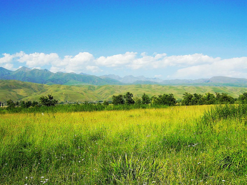 夜闻许十一诵诗爱而有作