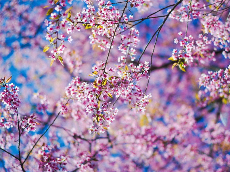 “在山泉水清，出山泉水浊”-杜甫度陇客秦州