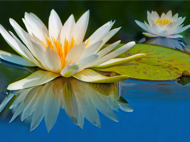 寻访古迹(杜甫故事)