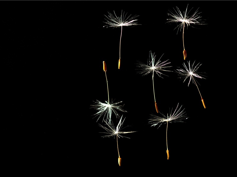 “羁旅病年侵”-杜甫潇湘夕霁