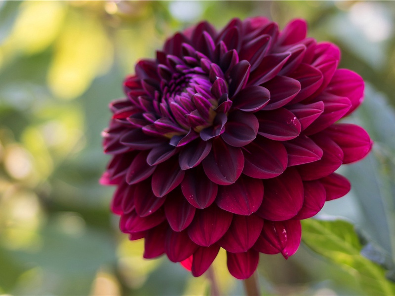 遣兴三首其一(我今日夜忧)