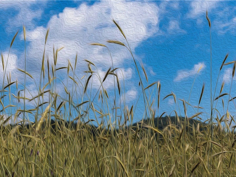 深浑苍郁的《诸将》-杜甫孤舟一系