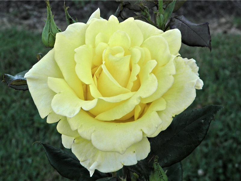 新知旧雨会潭州-杜甫潇湘夕霁