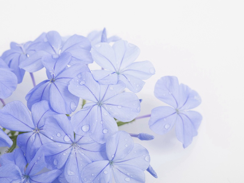 凉爽了活动就多些-杜甫孤舟一系