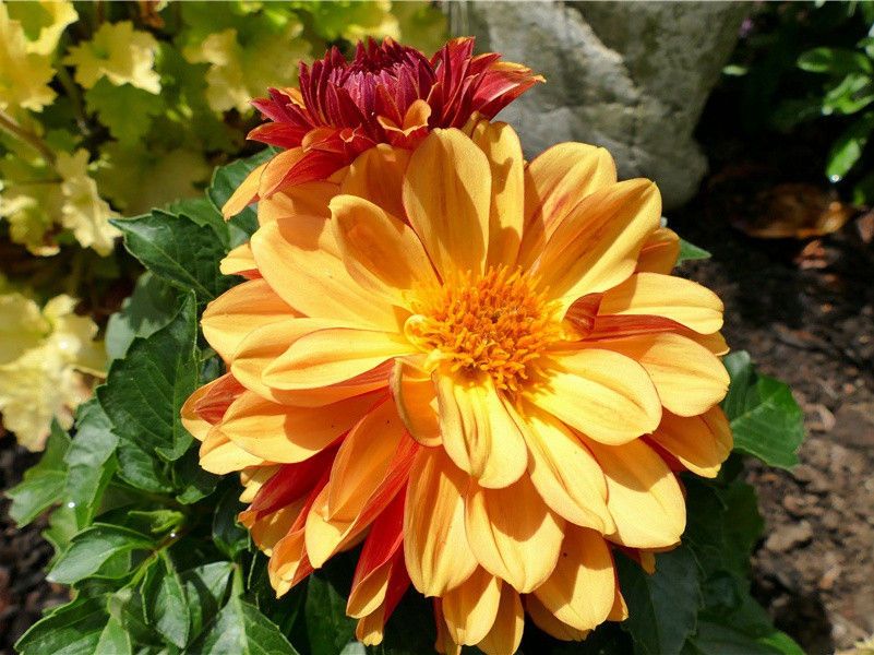 送率府程录事还乡