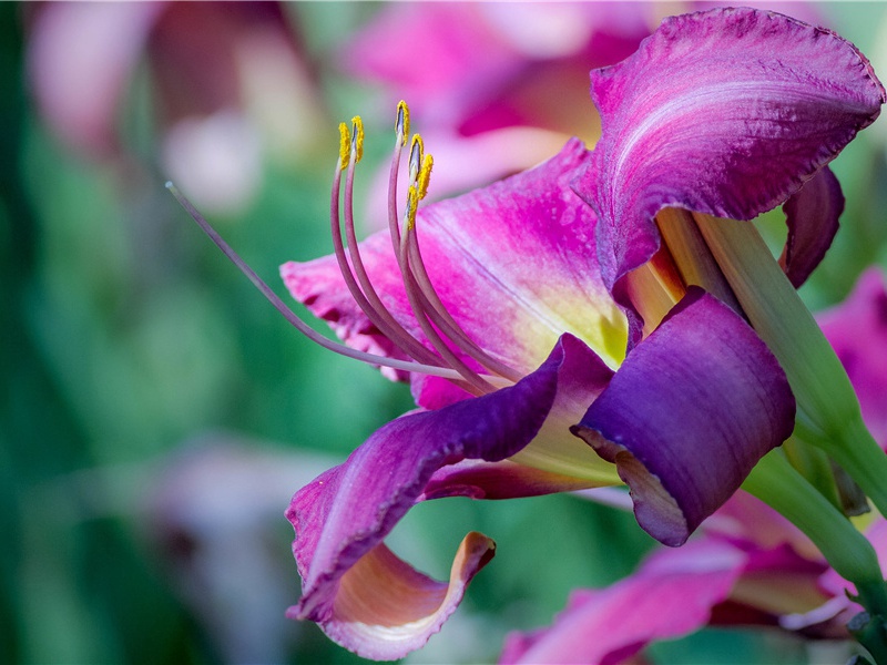 “形胜有余风土恶”-杜甫孤舟一系