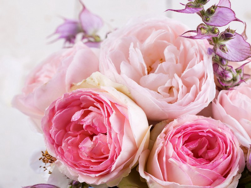 羌村三首其二(晚岁迫偷生)