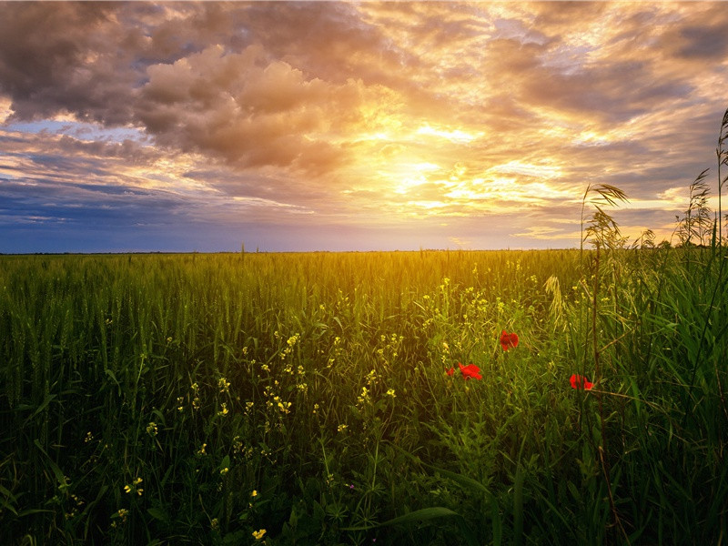 “殊方又喜故人来”-杜甫“蛟龙无定窟”