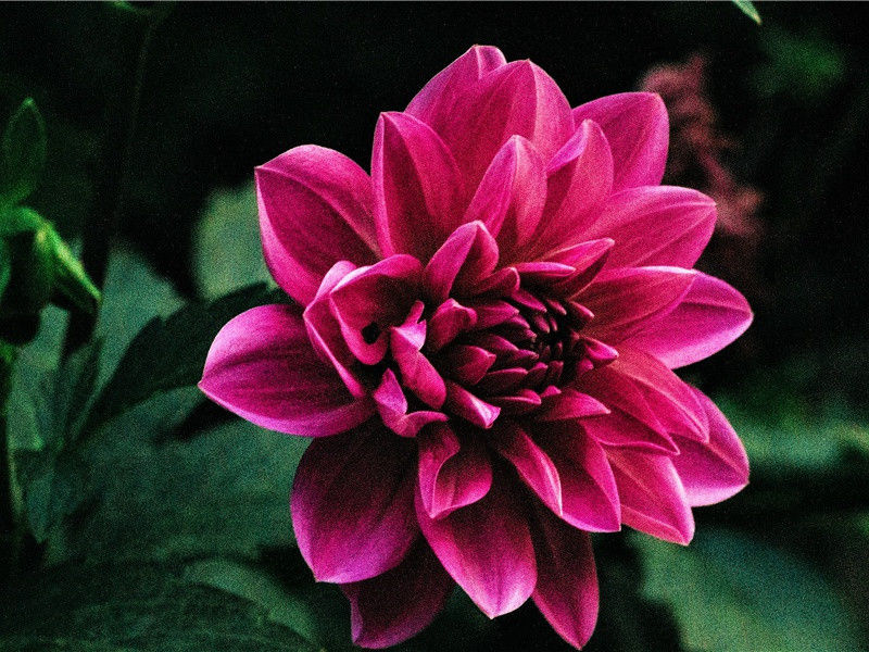 首游郇瑕和吴越之行-杜甫的壮游生活