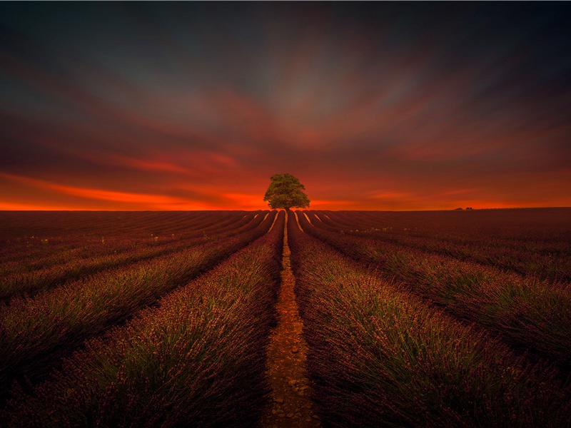 绮丽的童年回忆-杜甫的童年琐事