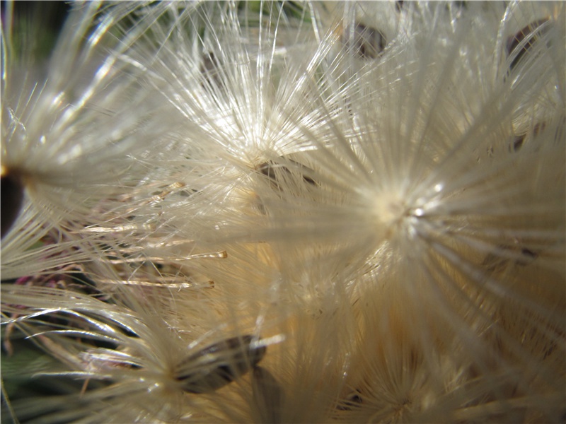 山水诗的一大变-杜甫的入蜀“图经”