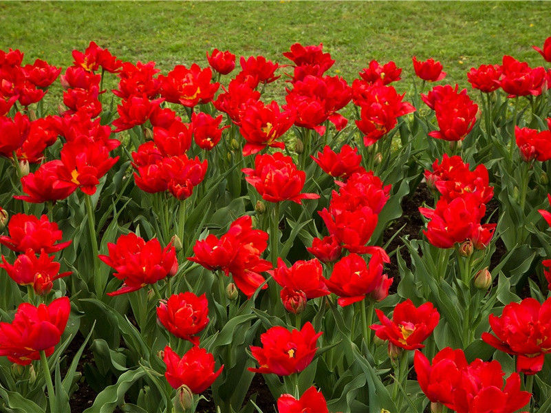 奉留赠集贤院崔于二学士