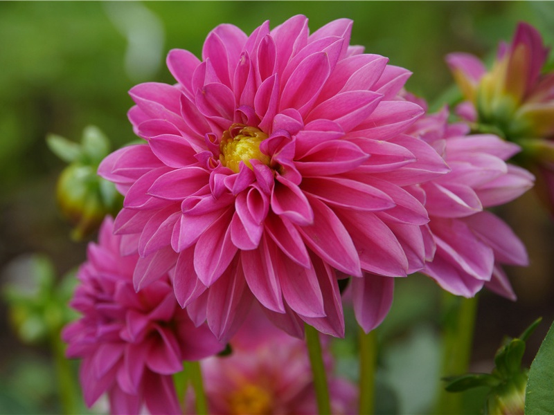 “安得壮士挽天河，净洗甲兵长不用”-杜甫眼中的天上人间