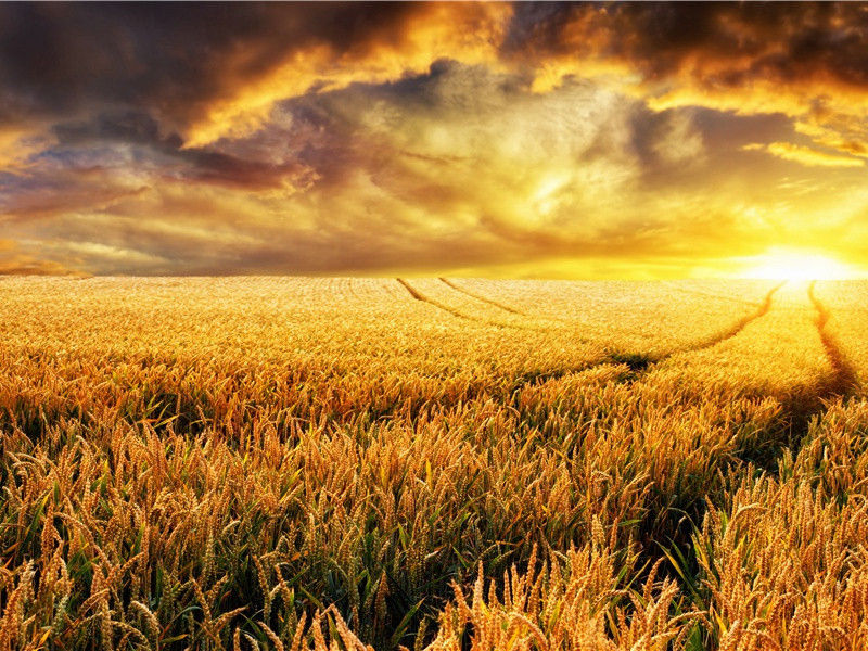 望岳·岱宗夫如何