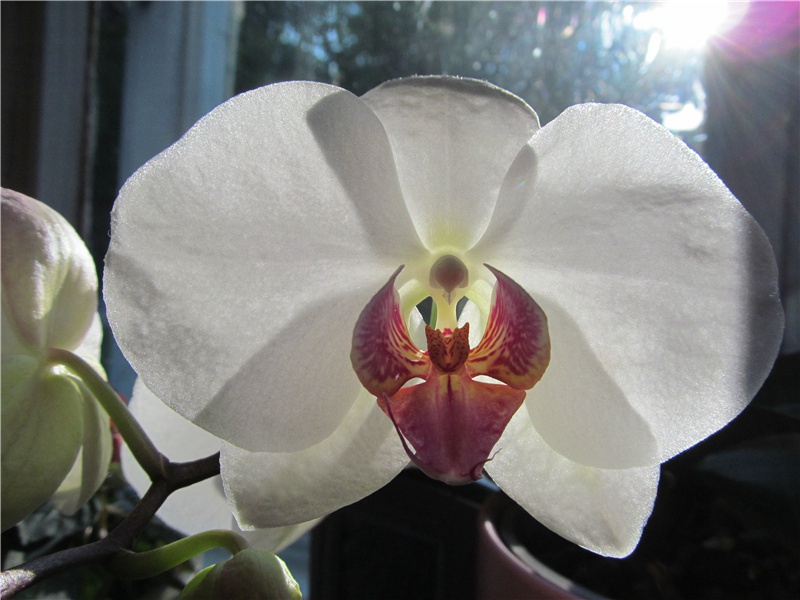 过宋员外之问旧庄