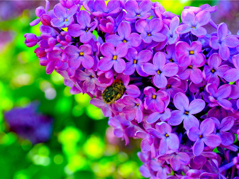 临邑舍弟书至苦雨黄河泛溢堤防之患簿领所忧因寄此诗用宽其意