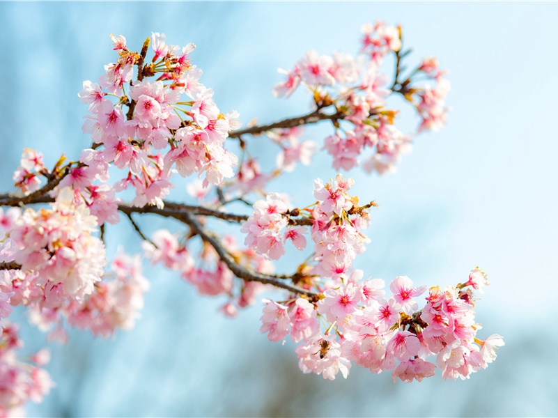 赠李白·二年客东都