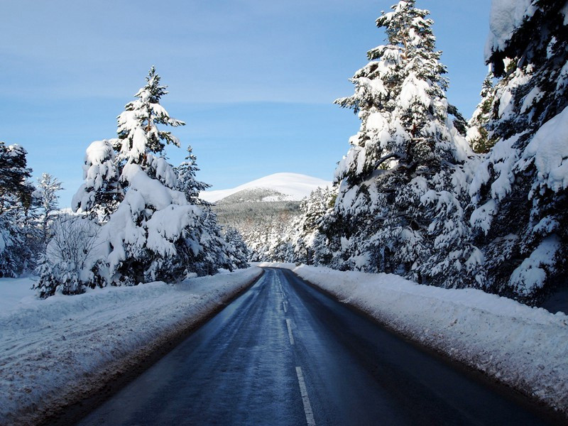 陪李北海宴历下亭