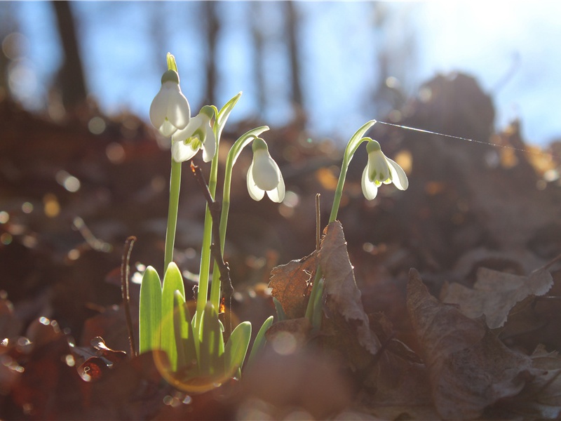 郑驸马宅宴洞中