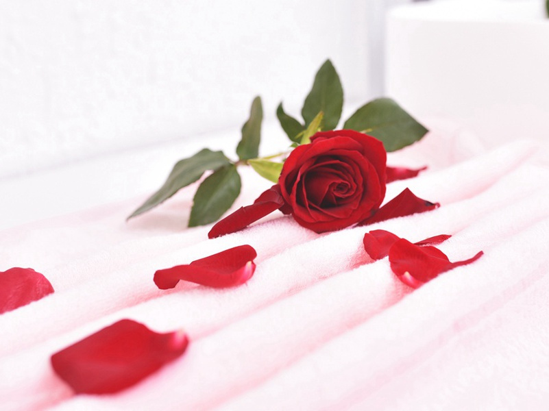 前出塞九首·其七(驱马天雨雪)