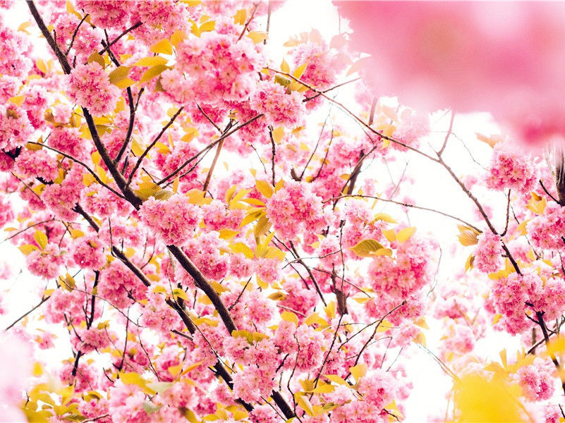 早秋苦热堆案相仍