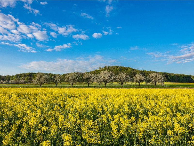 上韦左相二十韵