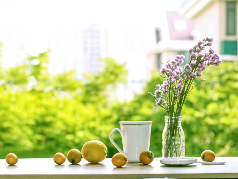 苦雨奉寄陇西公兼呈王征士