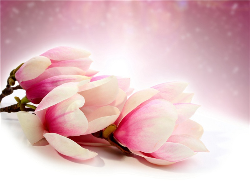 送樊二十三侍御赴汉中判官