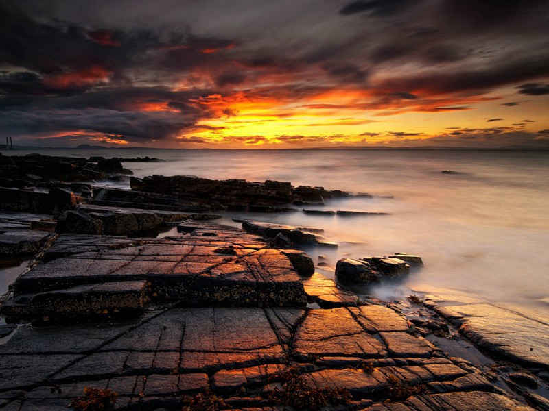 紫宸殿退朝口号