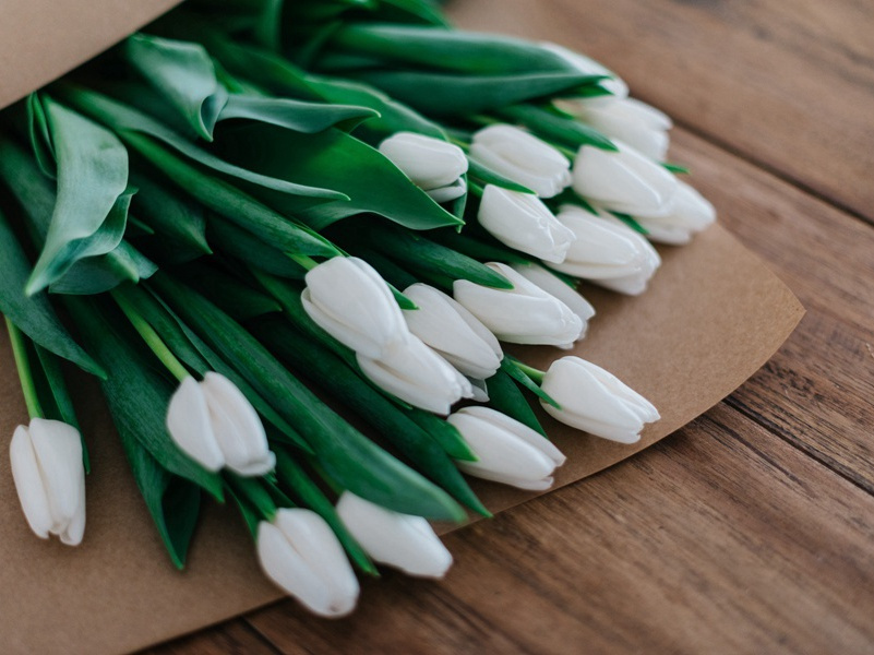 后出塞五首·其一(男儿生世间)