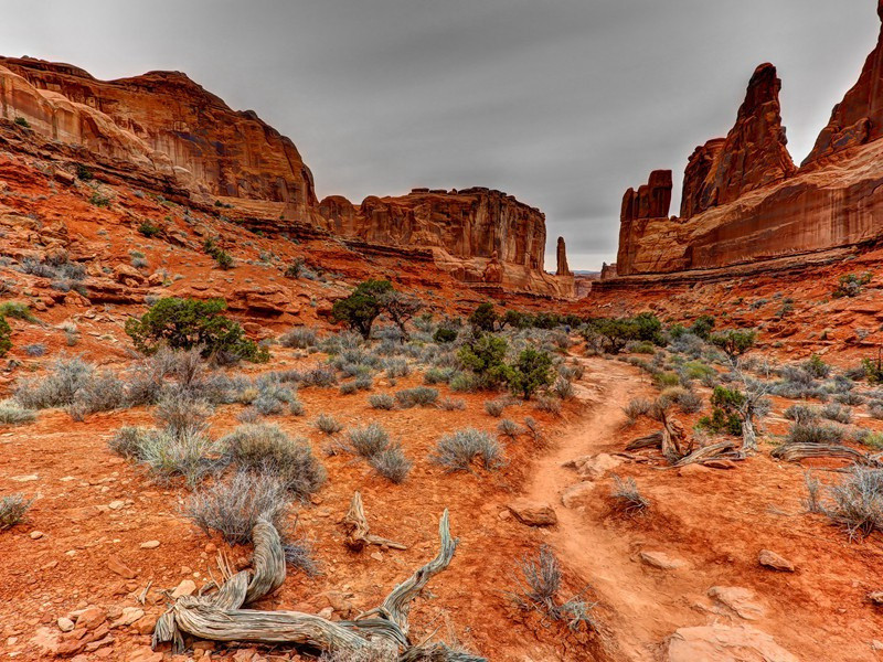 题李尊师松树障子歌