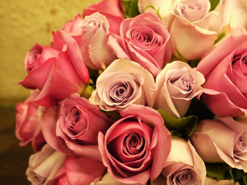 大云寺赞公房其三(灯影照无睡)