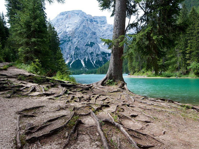 喜达行在所其三(死去凭谁报)