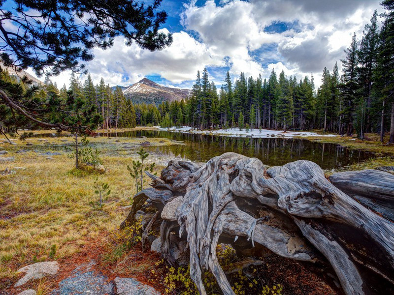 观安西兵过赴关中待命其一(四镇富精锐)