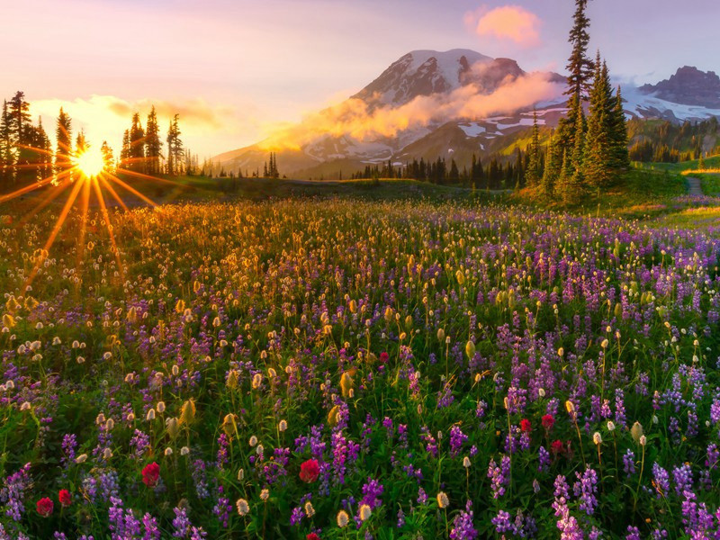 诗圣之“三吏”(杜甫故事)