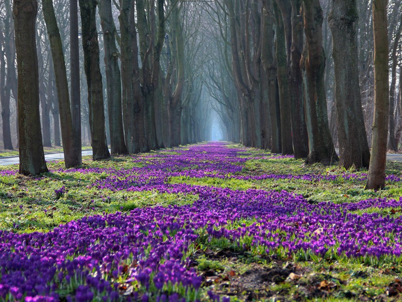 杜甫与六朝诗人(一)