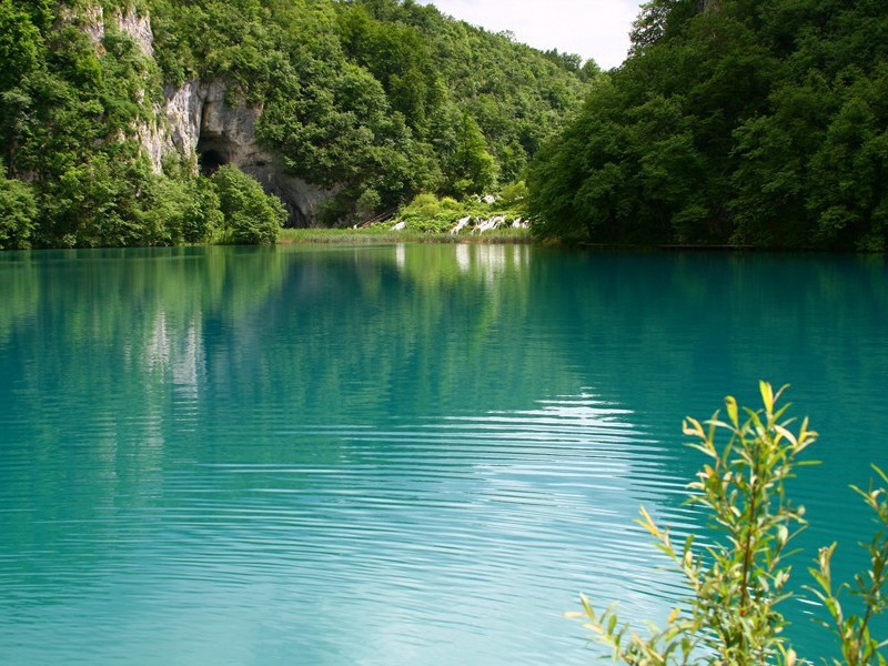 感时和惜别-杜甫转蓬