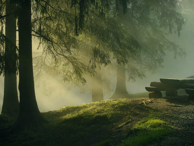 杜甫与鲍照(一)