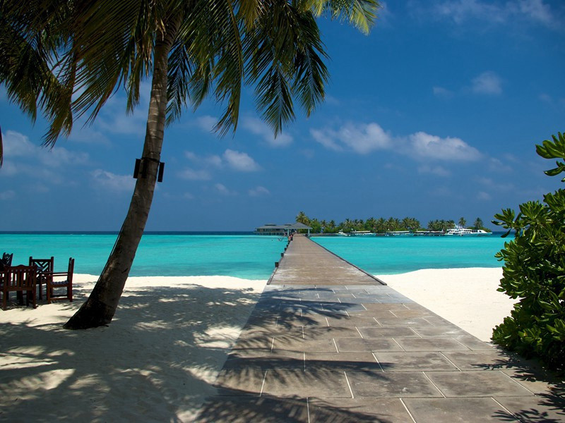 留别贾严二阁老两院补阙