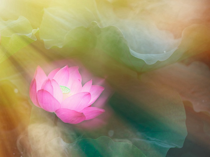 两游何园-杜甫旅食京华