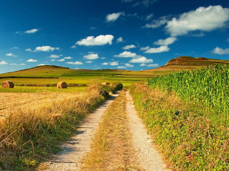 送韦十六评事充同谷郡防御判官