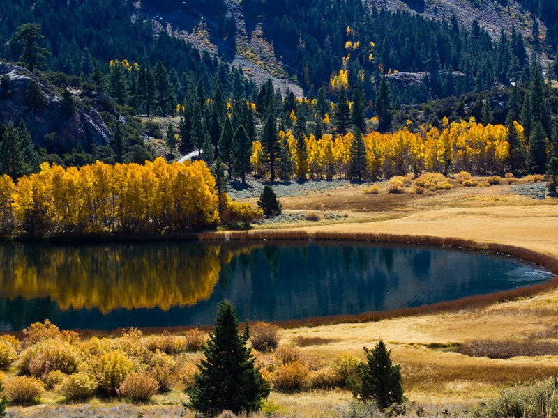 盛唐漫游之风盛行-杜甫的壮游生活