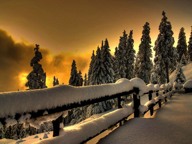 陪郑广文游何将军山林十首