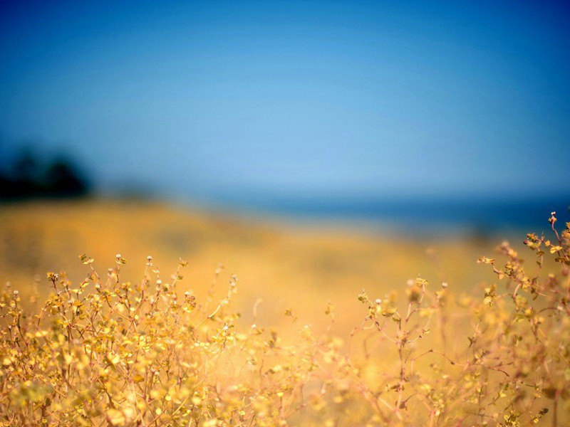 送樊二十三侍御赴汉中判官