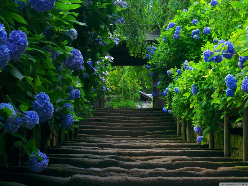 同谷绝境(杜甫故事)