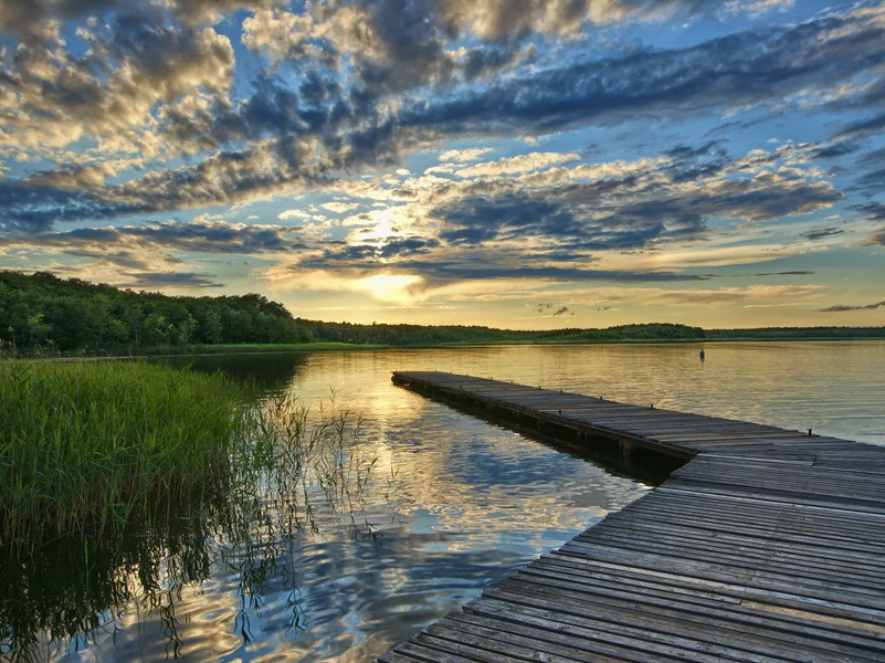 北征途中-杜甫长安遁复还