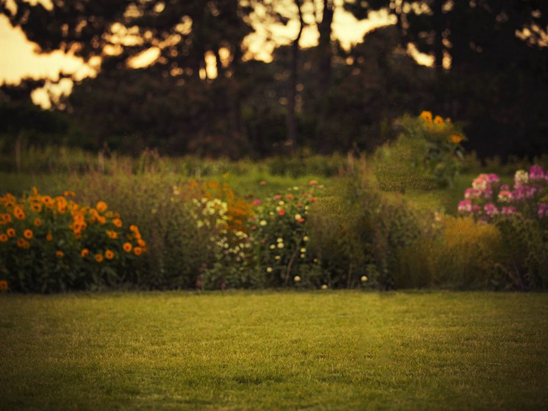 曲江陪郑八丈南史饮